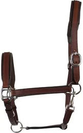 Halfter aus Leder HorseGuard – Bild 1 von 3