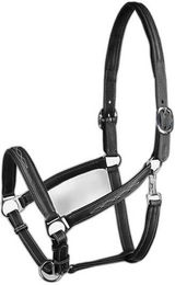 Halfter aus Leder Horze Warren – Bild 1 von 6