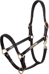 Halfter aus Leder Premiere Equitation – Bild 1 von 2