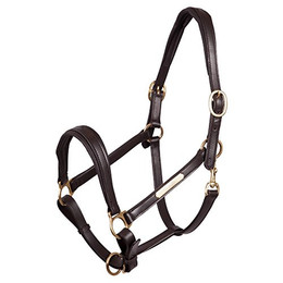 Produktbild von Halfter aus Leder Premiere Equitation