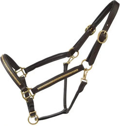 Produktbild von Halfter aus Leder T de T Clincher