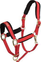 Produktbild von Halfter Back on Track Werano