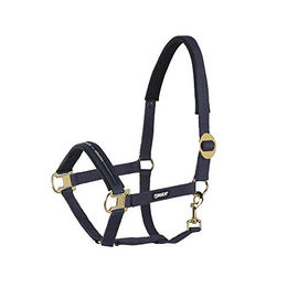 Produktbild von Halfter BASICS Schiebeschnalle vermessingt