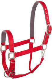 Produktbild von Halfter BR Equitation Event