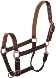 Produktbild von Halfter BR Equitation Event