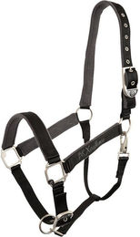 Produktbild von Halfter BR Equitation Xcellence
