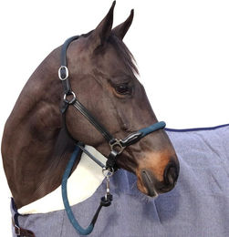 Produktbild von Halfter Canter