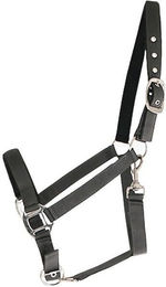 Produktbild von Halfter Canter