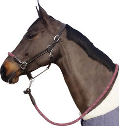 Produktbild von Halfter Canter