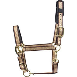 Produktbild von Halfter Catago