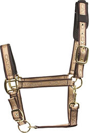 Produktbild von Halfter Catago