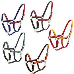 Produktbild von Halfter Daslö Roma