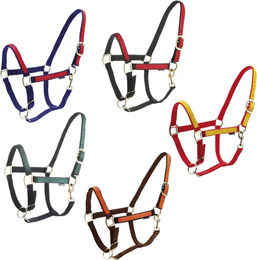 Produktbild von Halfter Daslö Roma