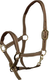 Produktbild von Halfter Dual Plus