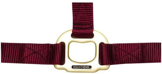 Halfter Equithème Nylon – Bild 1 von 3