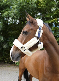 Produktbild von Halfter Equithème Teddy