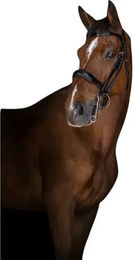 Produktbild von Halfter Eric Thomas Elite