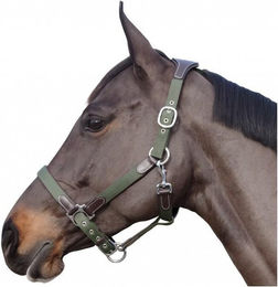 Produktbild von Halfter Flags&Cup