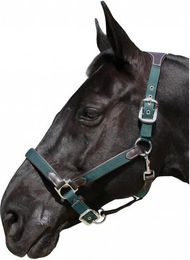 Produktbild von Halfter Flags&Cup