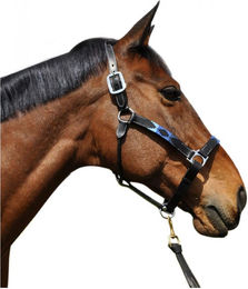 Produktbild von Halfter Flags&Cup Chukka