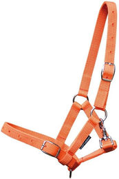 Produktbild von Halfter für Fohlen Harry's Horse