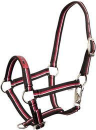 Produktbild von Halfter für Fohlen Premiere Equitation Fun