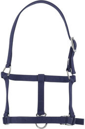 Produktbild von Halfter für Fohlen Riding World
