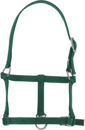 Produktbild von Halfter für Fohlen Riding World