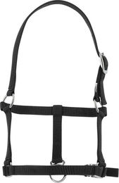Produktbild von Halfter für Fohlen Riding World