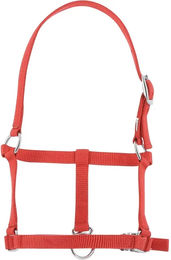 Produktbild von Halfter für Fohlen Riding World