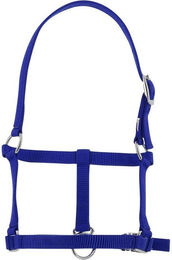 Produktbild von Halfter für Fohlen Riding World