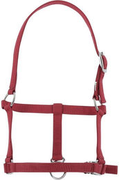 Produktbild von Halfter für Fohlen Riding World