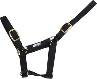 Produktbild von Halfter für Fohlen Roma Foal