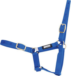 Produktbild von Halfter für Fohlen Roma Foal