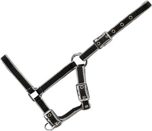 Produktbild von Halfter für Fohlen USG