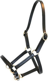 Produktbild von Halfter für Fohlenpferd Präsentation Leder Canter