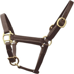 Produktbild von Halfter für Fohlenpferd Präsentation Leder Canter