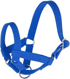 Produktbild von Halfter für Lamas und Alpakas Größe 60 blau