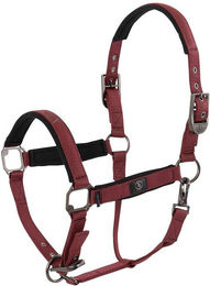 Produktbild von Halfter für Pferd BR Equitation CLX
