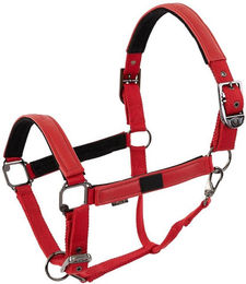 Produktbild von Halfter für Pferd BR Equitation Jade