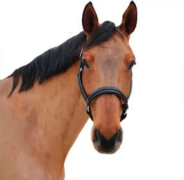 Produktbild von Halfter für Pferd Canter Mylord