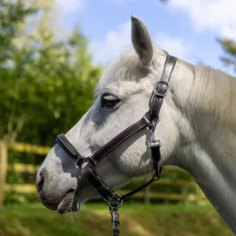 Produktbild von Halfter für Pferd Canter Mylord