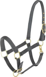 Produktbild von Halfter für Pferd Covalliero Classy