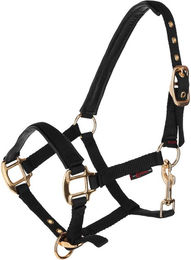 Halfter für Pferd Covalliero TopLine – Bild 1 von 2