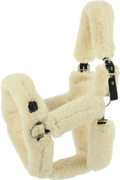 Produktbild von Halfter für Pferd Equithème JTM