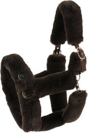 Produktbild von Halfter für Pferd Equithème JTM