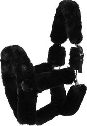 Produktbild von Halfter für Pferd Equithème JTM