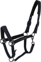 Produktbild von Halfter für Pferd Equithème Pearl