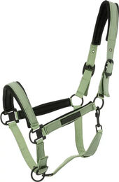 Produktbild von Halfter für Pferd Equithème Pearl