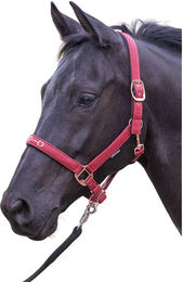 Produktbild von Halfter für Pferd Harry's Horse Bit